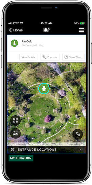 app tree map